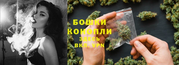 дмт Магас