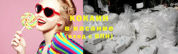 дмт Магас