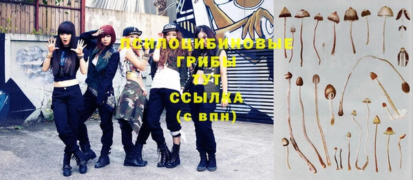 дмт Магас