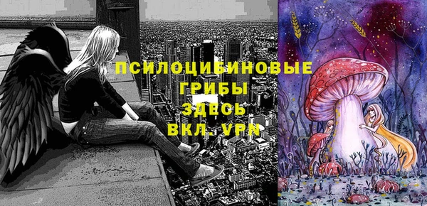 дмт Магас