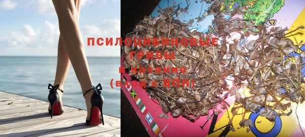 дмт Магас