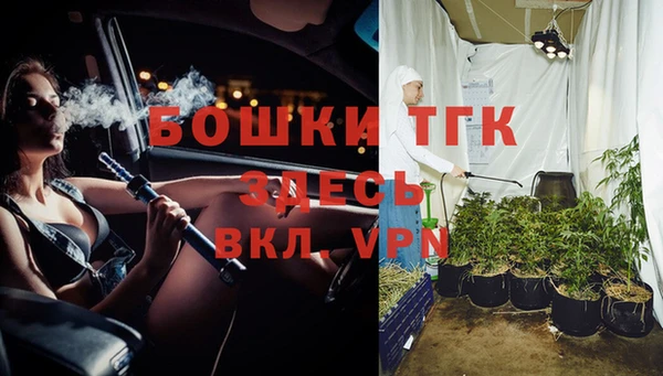 дмт Магас