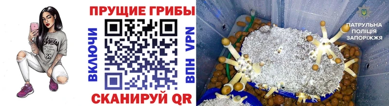 даркнет сайт  Ельня  Галлюциногенные грибы ЛСД 