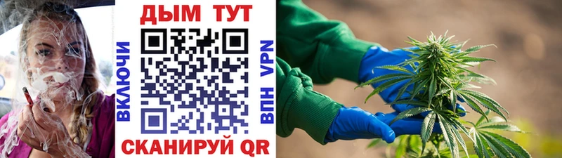 Канабис THC 21%  Ельня 